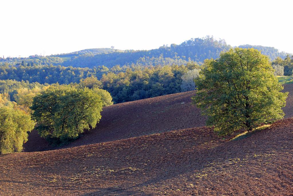 Agriturismo Santa Maria Torrita di Siena Exteriör bild