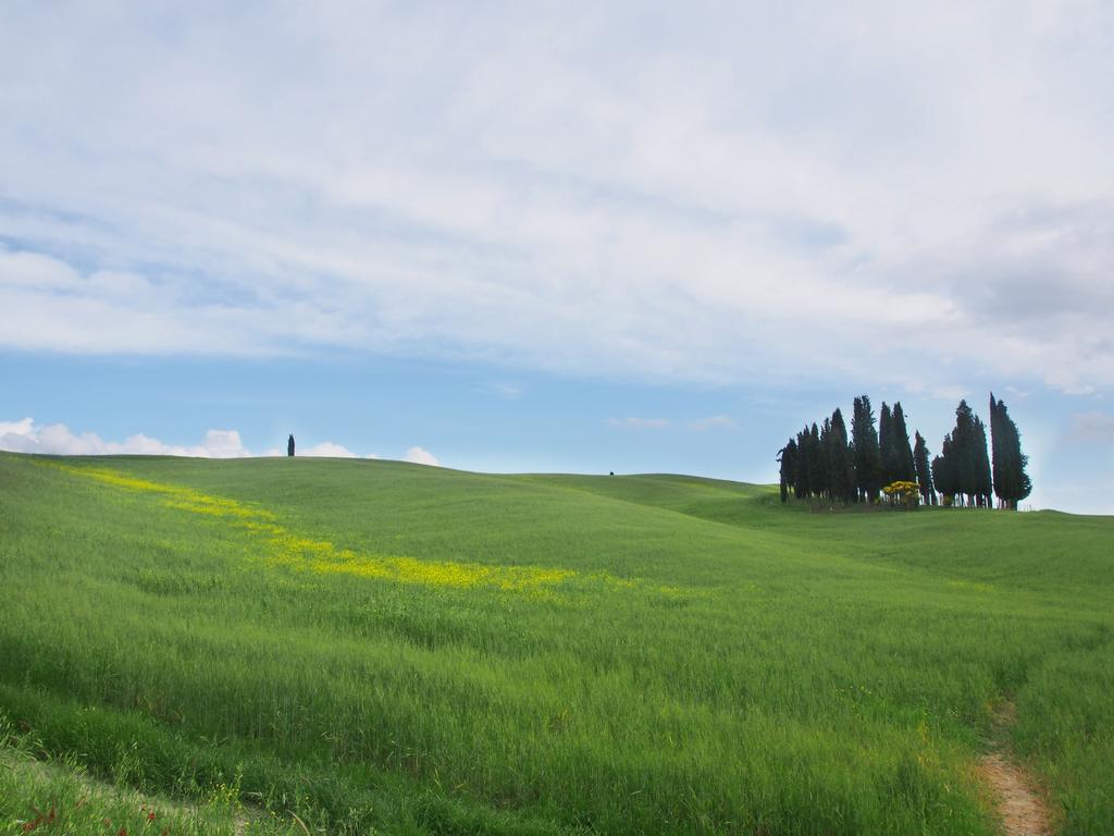 Agriturismo Santa Maria Torrita di Siena Exteriör bild
