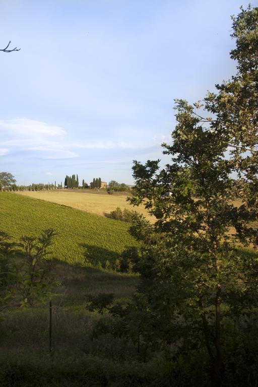 Agriturismo Santa Maria Torrita di Siena Exteriör bild